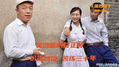 黄渤蛋炒饭在线观看,美食与人生的完美融合