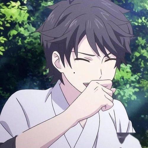 男日男动漫在线观看,在线观看指南