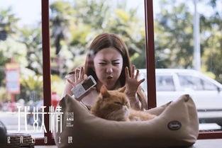 白色妖精在线观看视频,探寻神秘世界的奇幻之旅