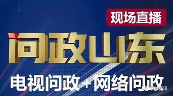 山东卫视回看在线观看,重温经典，畅享精彩瞬间