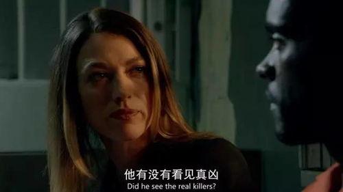 目击者美剧在线观看,揭秘真实事件背后的真相