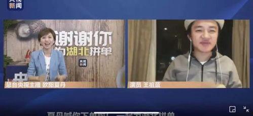 央视直播在线观看3台,实时捕捉时事热点