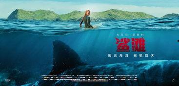鲨滩在线观看免费版,惊险海滩求生记
