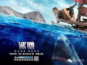 鲨滩在线观看免费版,惊险海滩求生记
