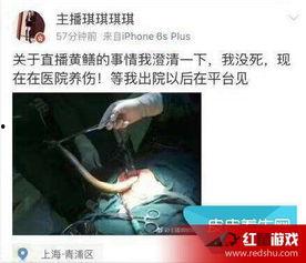 黄鳝门完整在线观看,揭秘网络直播背后的惊悚真相