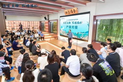 江苏公共回放在线观看,重温经典，畅享视听盛宴