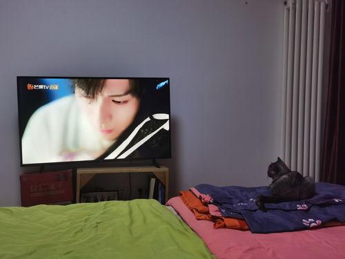 谁上我的床完在线观看,揭秘神秘床榻背后的情感纠葛