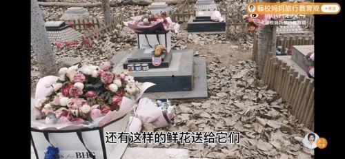 爱的坟墓韩国在线观看,韩国爱情悲剧在线观影指南