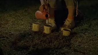 阿根廷夏威夷在线观看,在线畅游南美风情与热带魅力的云端之旅
