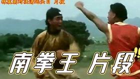 老电影南拳王在线观看,热血拳魂，激战江湖