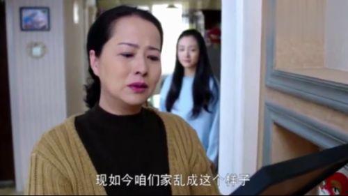 不孝子气死妈在线观看,一场家庭悲剧的警示录
